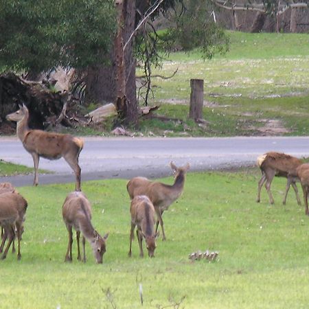 The Grampians Motel Halls Gap Exterior foto